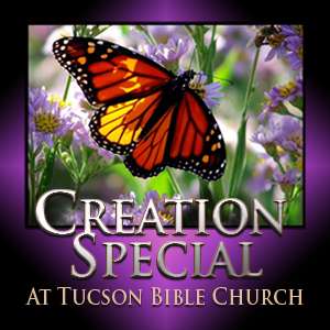 Creation Special at Tucson Bible Church (2010)